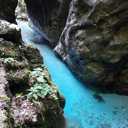 Apartma Melita Kobarid