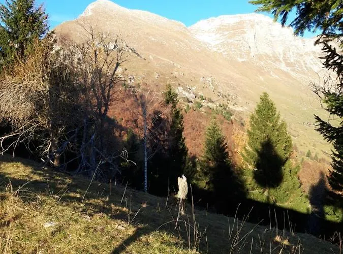 Apartma Melita * 코바리드